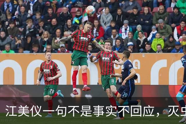 江美仪一句不是事实不回应，灭虫义工发毒誓愿死于非命证清白