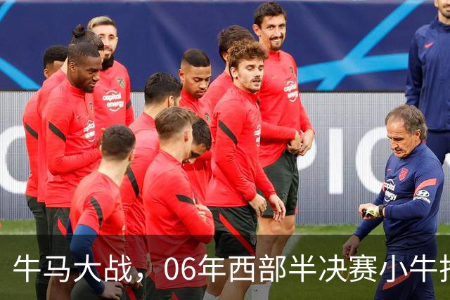 牛马大战，06年西部半决赛小牛抢七险胜马刺，邓肯场均32+12，诺维茨基什么数据？