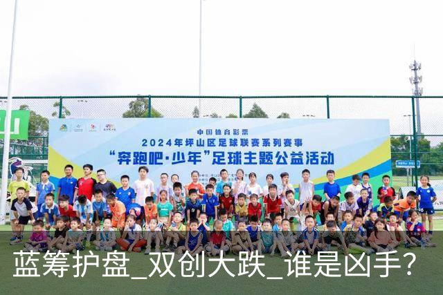 蓝筹护盘 双创大跌 谁是凶手？