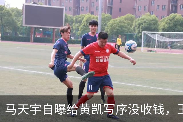 马天宇自曝给黄凯写序没收钱，王子璇被锤“写序收3万还装失忆”引争议